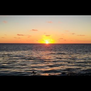 Meet your Posher, Gary